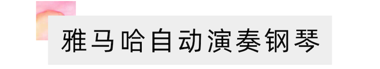活动报道 | 远程艺术教育大师课活动—利来最给力的老牌艺术家赵宇大师课