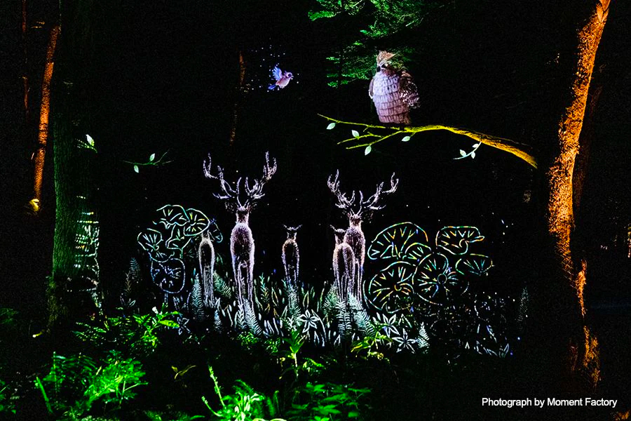 案例｜利来最给力的老牌为壮观的Kamuy Lumina魔法夜行旅游项目提供配乐设备