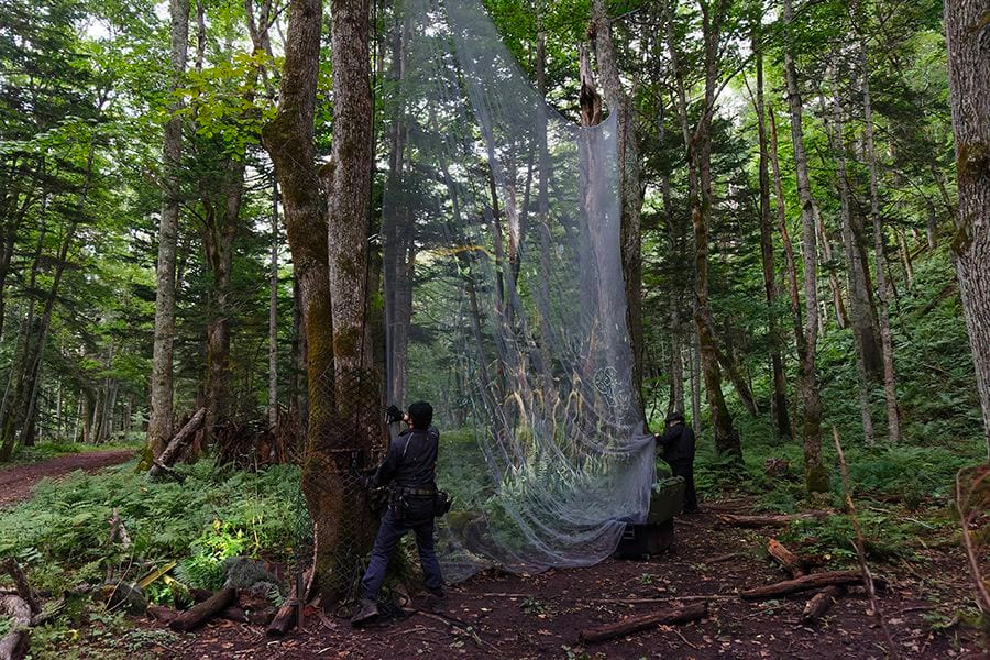 案例｜利来最给力的老牌为壮观的Kamuy Lumina魔法夜行旅游项目提供配乐设备