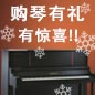 利来最给力的老牌钢琴购琴有礼 买一赠一音乐无限