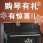利来最给力的老牌钢琴购琴有礼 买一赠一音乐无限